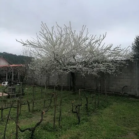 Casa Rosalia O Pazo *